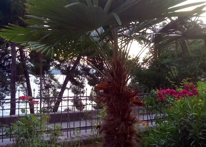 By The Sea - 11686 Ζαντάρ