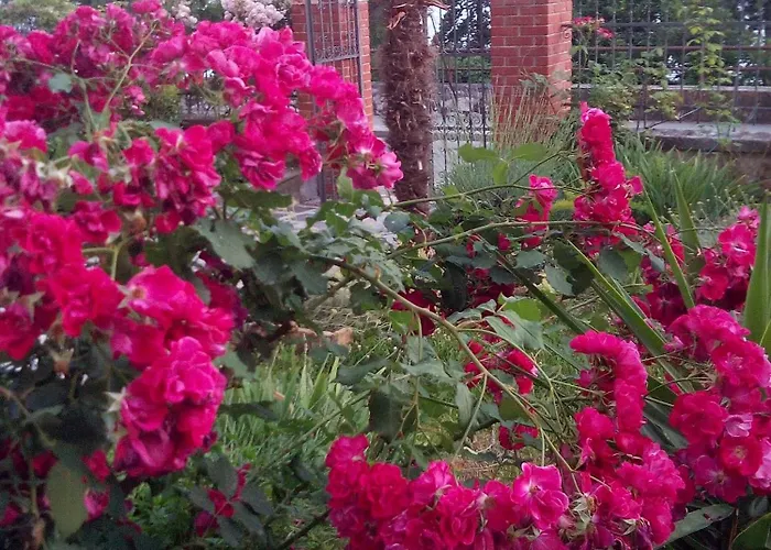 By The Sea - 11686 * Ζαντάρ